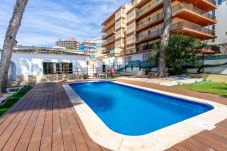 Villa en Arenal - Villa Els Pins
